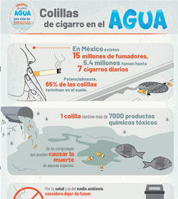 Infografía PUMAGUA