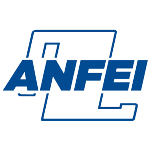 Logo ANFEI