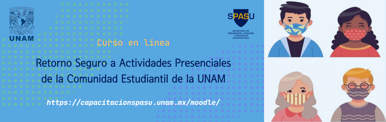 Curso en linea