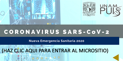 Programa Universitario de Investigación en Salud