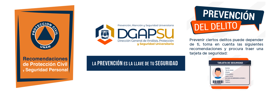 Prevención del delito