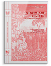 Paleontología de México. Plantas vasculares fósiles