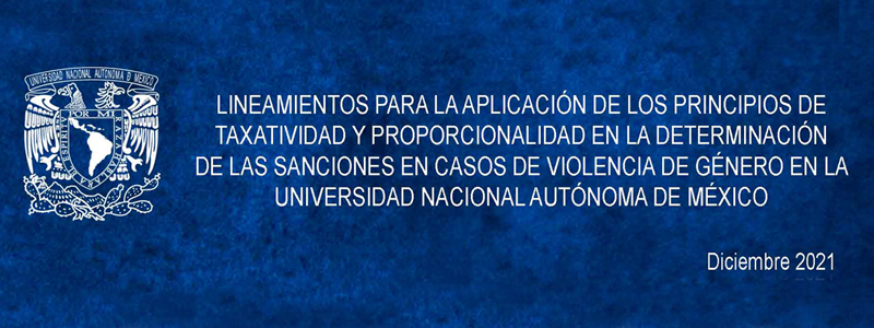 Lineamientos para la aplicación de principios de taxatividad