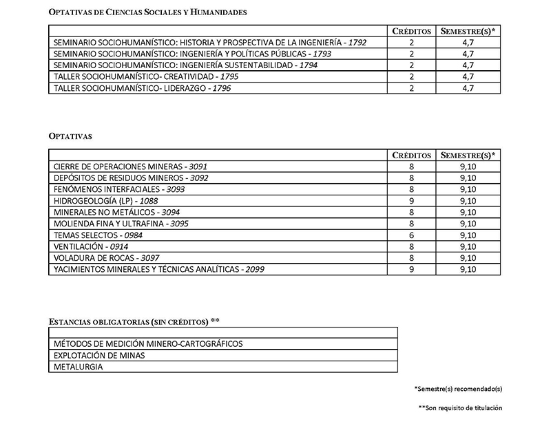 Asignaturas optativas Ingeniería de Minas y Metalurgia