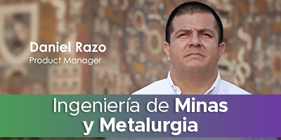 Ingeniero de Minas y Metalurgia