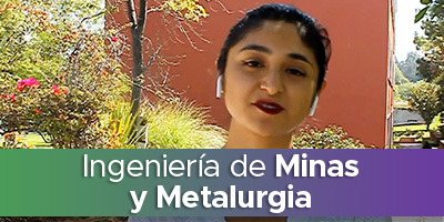 Ingeniero de Minas y Metalurgia
