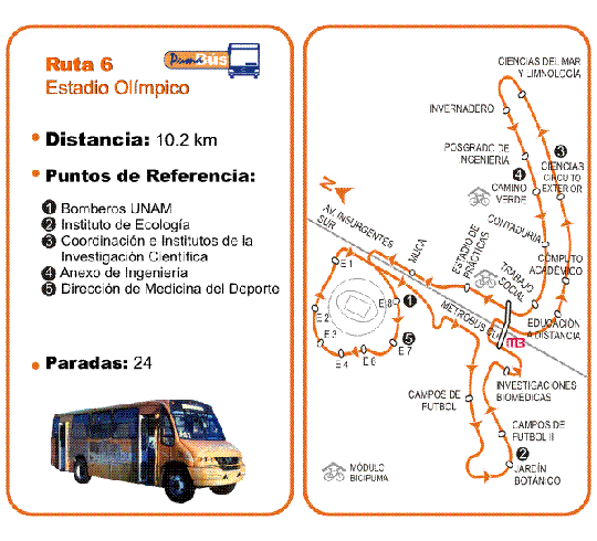 Ruta 6 pumabus on sale